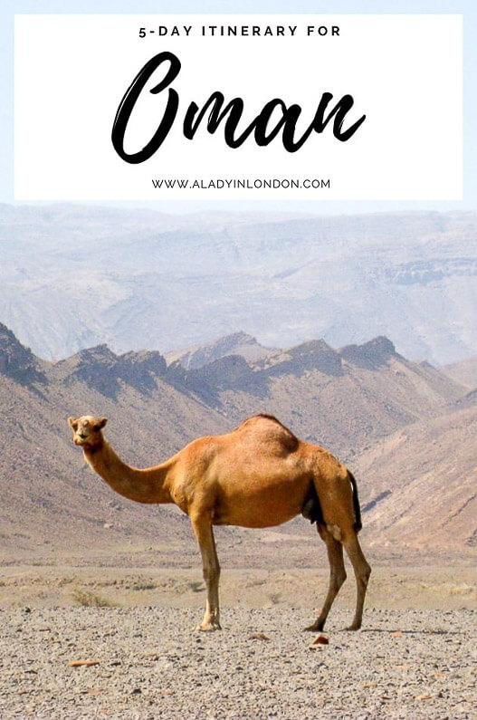 5 Days in Oman