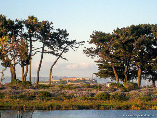 Alcatraz Island in San Francisco, California