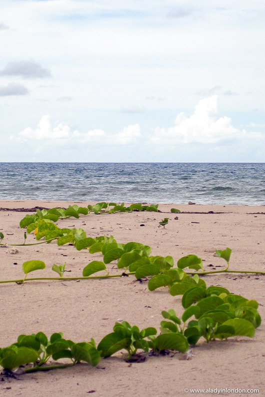 Andilana Beach in Nosy Be, Madagascar