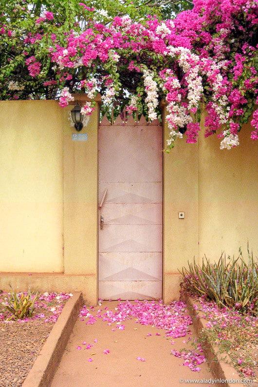 Door with Pink Flowers in Bamako, Mali