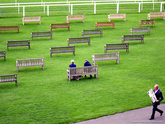 Benches at Newbury Racecourse in England