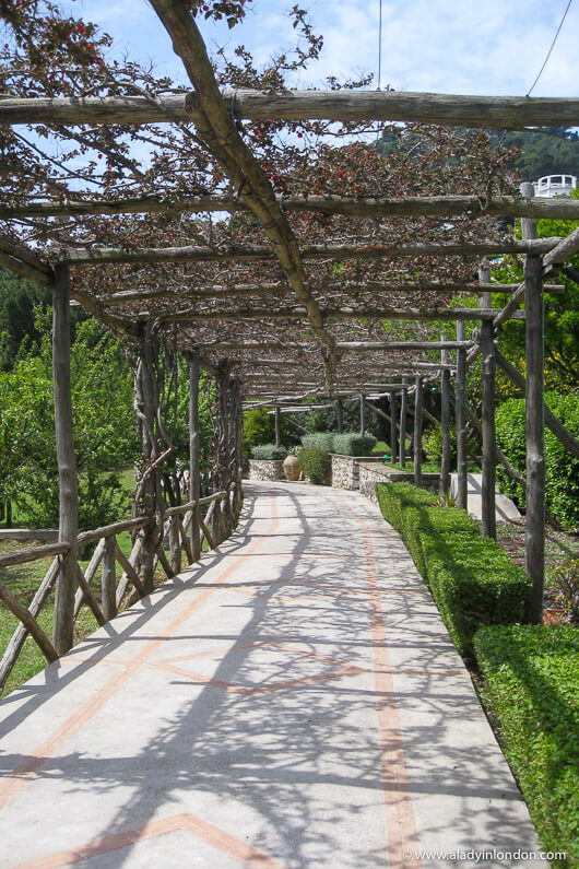 Pergola in Capri