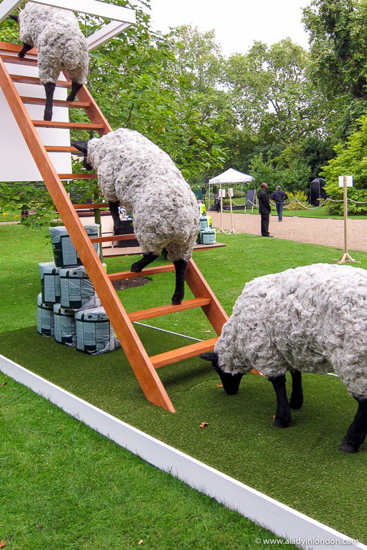 Fake sheep in Clarence House Garden London