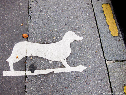 Dog Sign on a Street in Paris, France