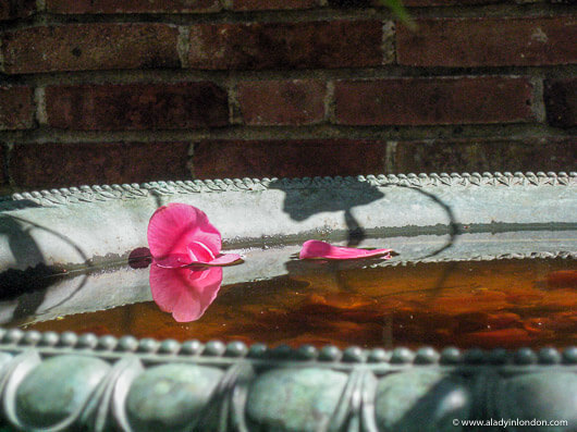 Bird bath with a flower at Filoli in California