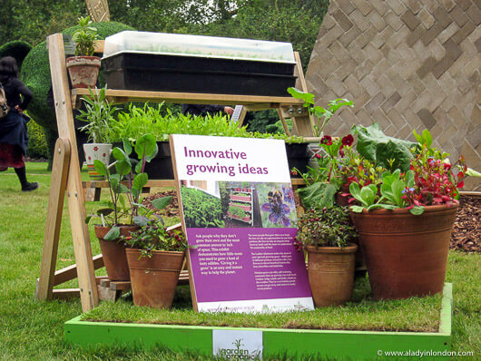 Garden Growing Ideas at A Garden Party to Make a Difference
