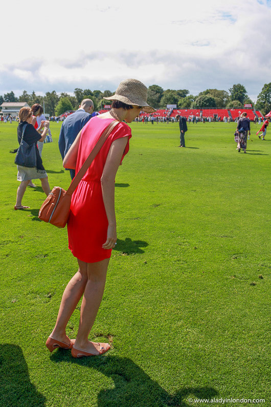 Stomping divots at the International Day Polo