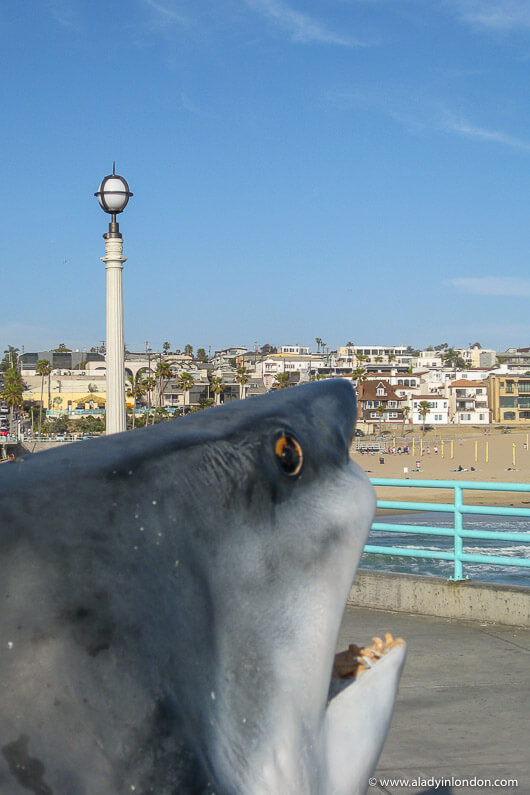 Shark on pier in Manhattan Beach