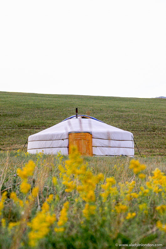 Ger in the countryside in Mongolia during the Naadam Festival