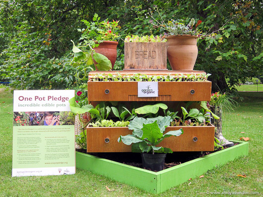 One Pot Garden at the Prince of Wales Garden Party