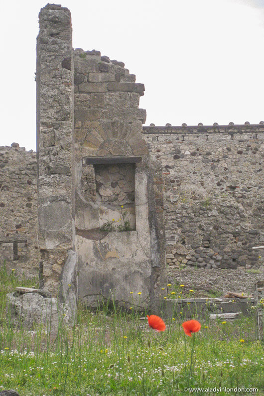 Ancient Roman Ruins in Pompeii, Italy with red flowers