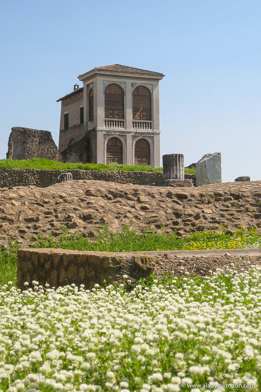 The Roman Forum