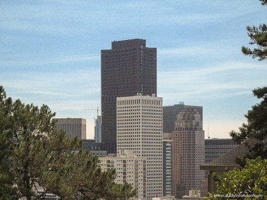 Skyscrapers in the San Francisco Financial District as seen from a Park on Russian Hill
