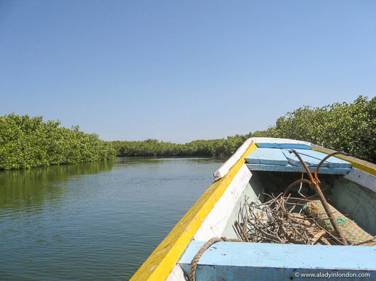 Boat on the Sine River in Senegal