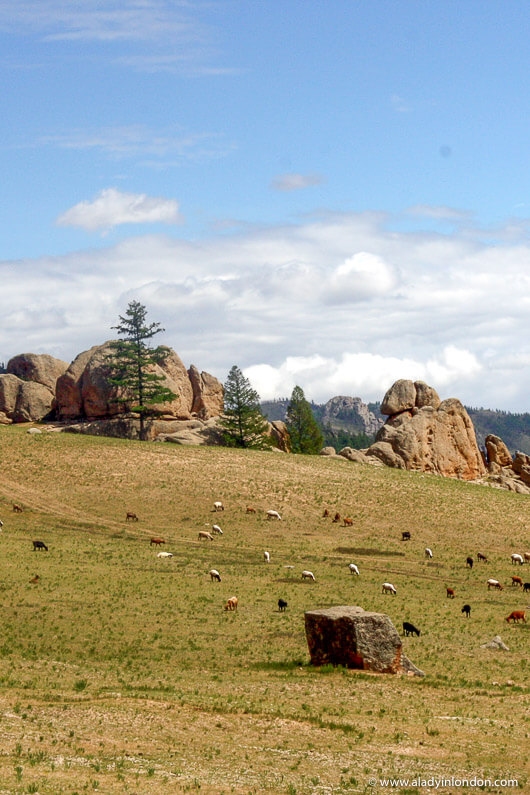 Mongolian countryside in Terelj National Park