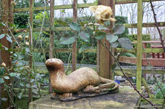 Garden at Tiggywinkles Wildlife Hospital
