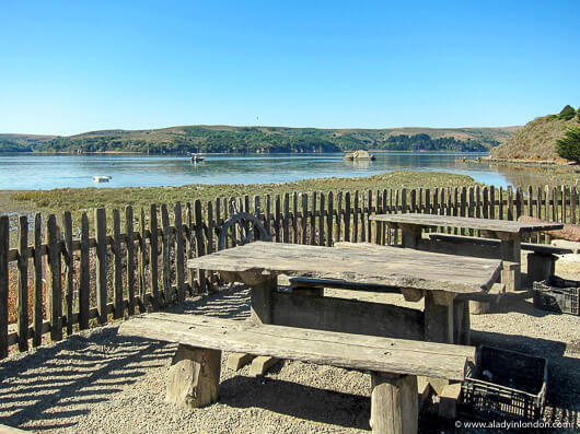 Hog Island Oyster Co in Tomales Bay, California