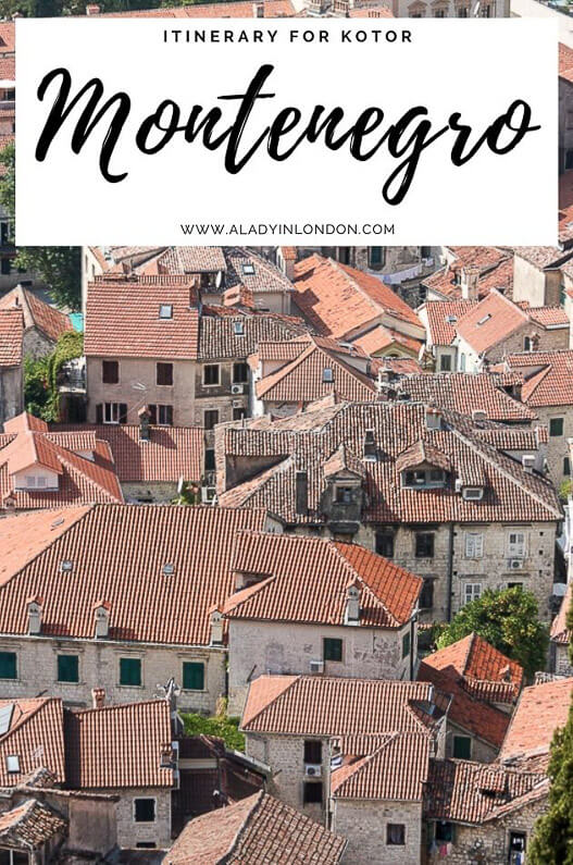 1 Day in Kotor