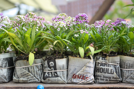 Flowers for sale at the Bloomington farmers market