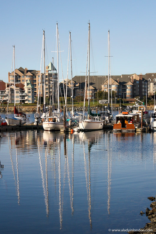 Boats in the harbor in Victoria, BC, Canada