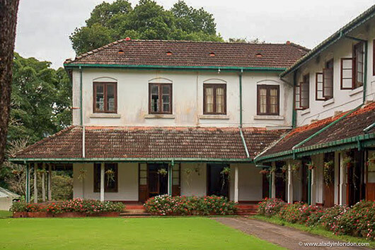 Kandy Sightseeing at the Botanical Garden