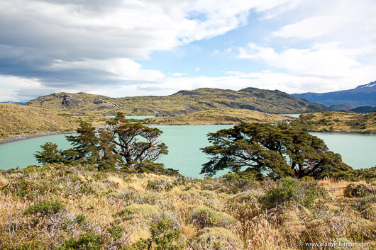 Lake Nordenskjold in Torres del Paine National Park, Patagonia