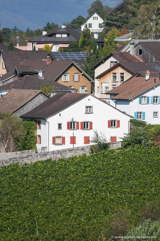 View of houses in Liechtenstein