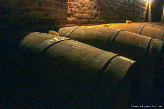 Wine barrels at a wine tasting in the Maipo Valley, Chile