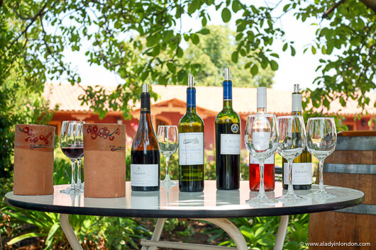 Aquitania winery wine tasting in the Maipo Valley, Chile