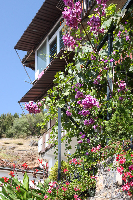 House with flowers in Ohrid, North Macedonia