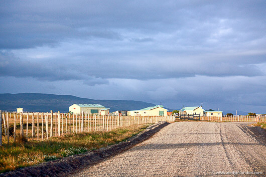 Road to Seno Otway in Patagonia