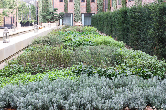 Herb Garden at the London Waldorf Astoria Syon Park hotel
