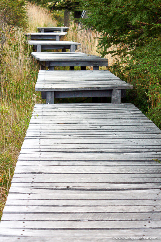 Walking platform in Torres del Paine National Park in Patagonia