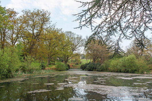 Pond in a garden at a country house hotel in West Sussex, England