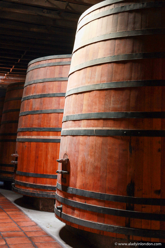 Huge wine barrels at the Cousino Macul winery in the Maipo Valley in Chile