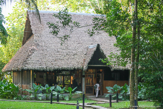 Amazon Eco-Lodge, Peru