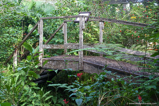 Bridge at the Inkaterra butterfly House in Puerto Maldonado in the Amazon in Peru