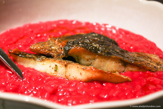 Risotto and stone bass at Apero Restaurant in London