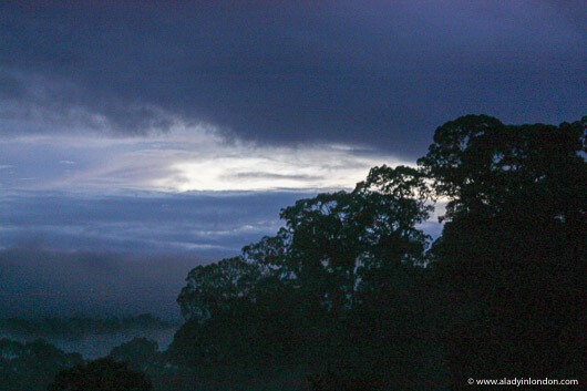 Sunrise over the treetop canopy in Ulu Temburong National Park, Brunei