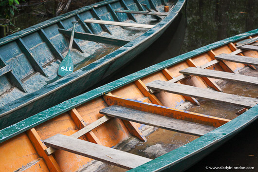 Canoes in the Amazon in Peru