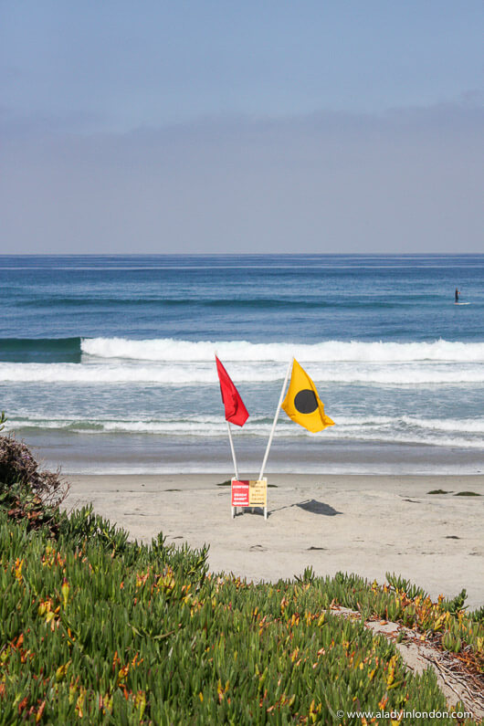 Beach in Del Mar, California
