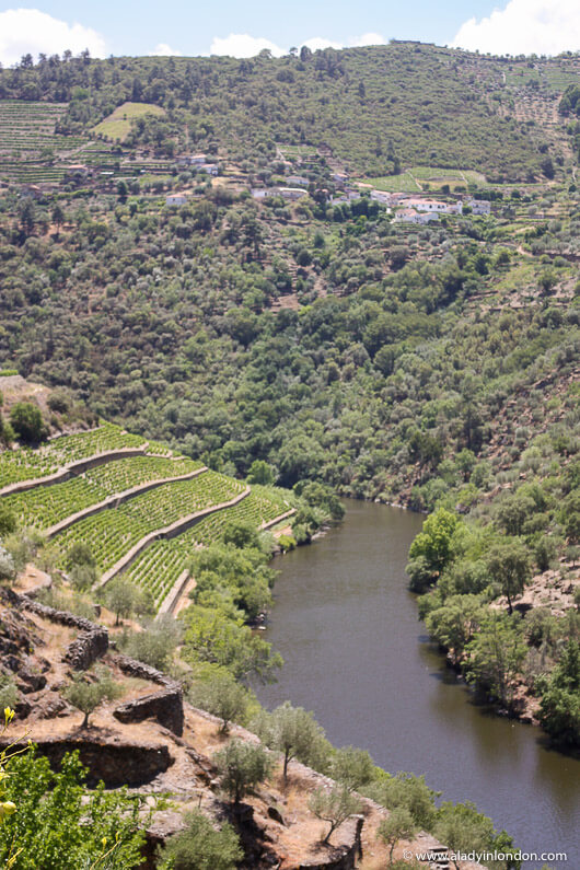 Douro River in Portugal