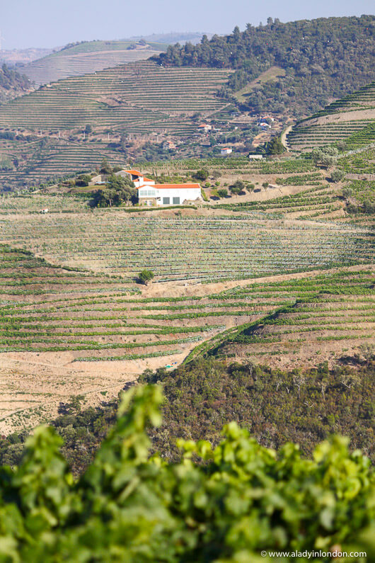 Douro Valley, Portugal