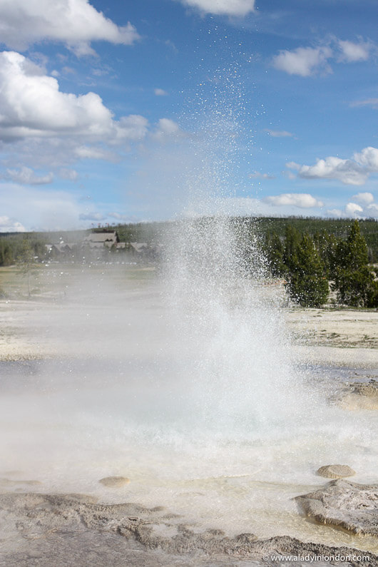 Geyser at Yellowstone National Park