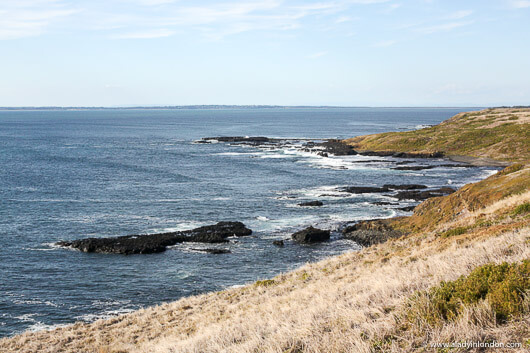 The Nobbies, Phillip Island, Australia