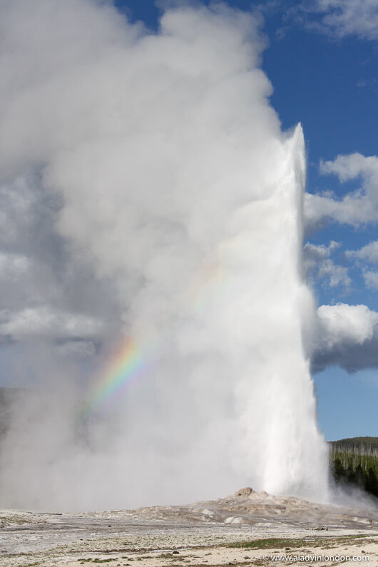 Old Faithful at Yellowstone National Park
