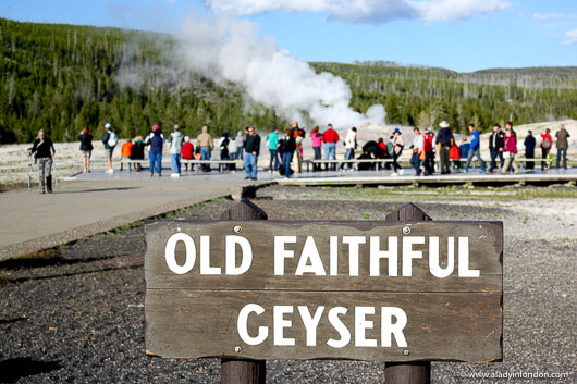 Old Faithful at Yellowstone National Park