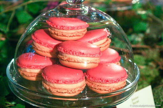 Pierre Herme London Macarons