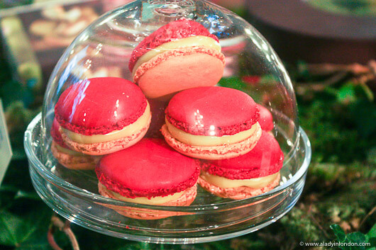 Pierre Herme Macarons in London