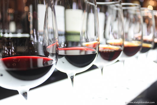 Port tasting in Vila Nova de Gaia